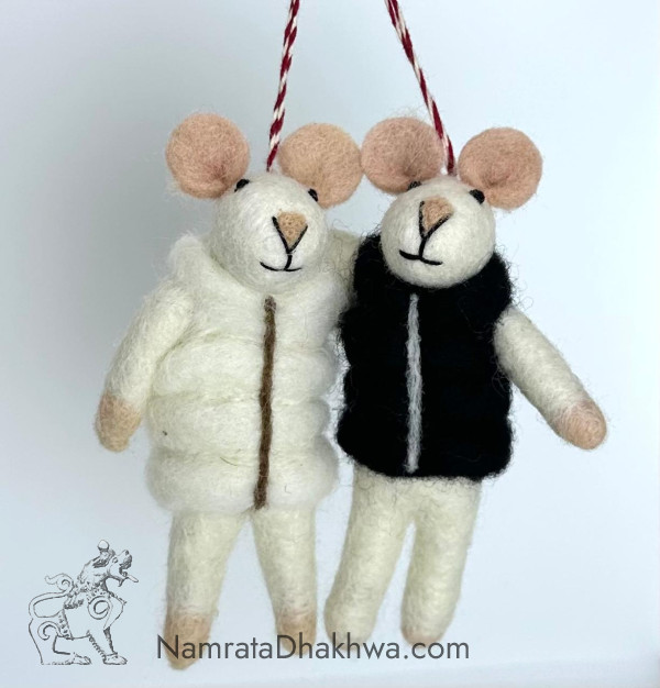 2 mouse with jacket